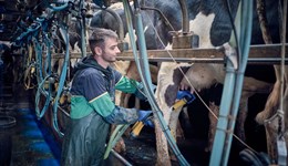 Dairy farmers missing out on millions